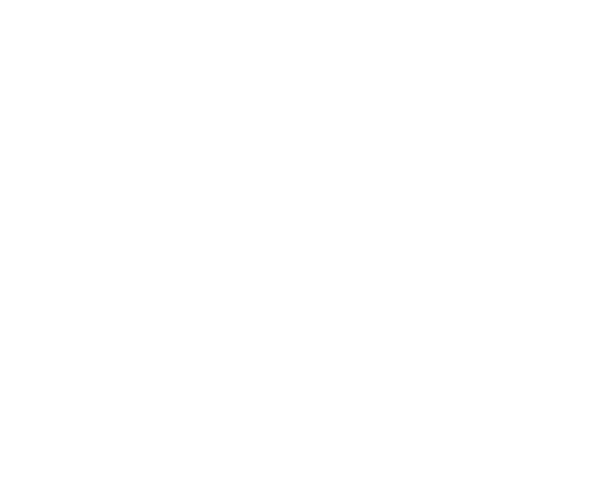 PKpartners.Am